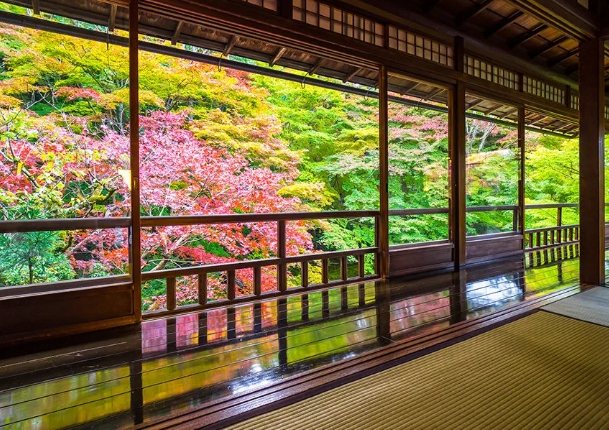 蓮華寺 蓮華寺