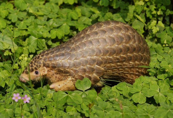 台北市立動物園 台北市立動物園