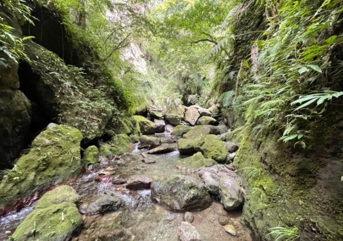麻荖漏步道 麻荖漏步道