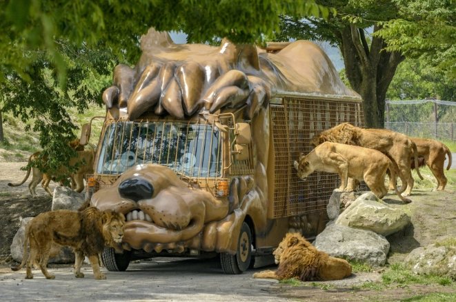 九州自然動物園 九州自然動物園