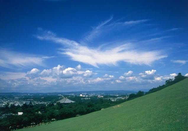 若草山 若草山