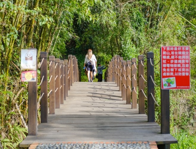大坑二號登山步道 大坑二號登山步道