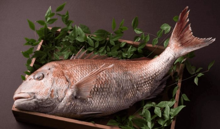 鯛魚 鯛魚