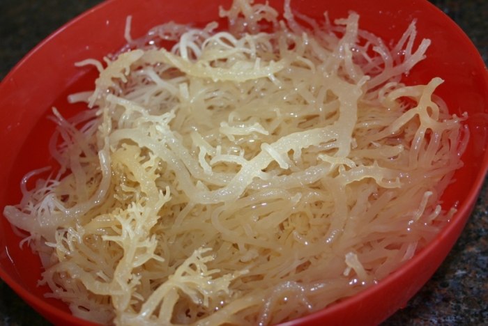 海燕窩功效 海燕窩功效