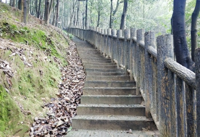虎山登山步道 虎山登山步道