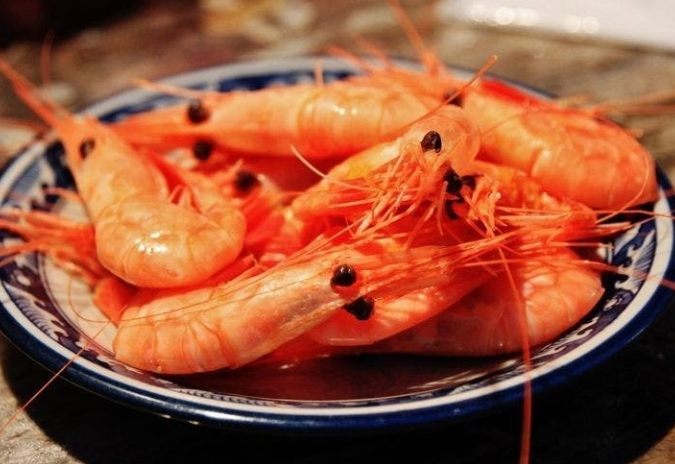 蝦子營養 蝦子營養