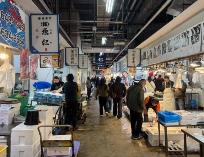 木津市場