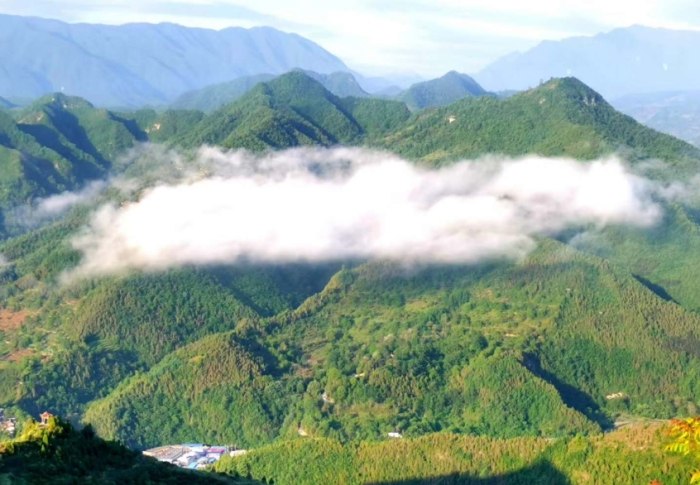 白云山 白云山