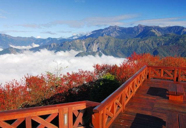 小笠原山觀景台 小笠原山觀景台