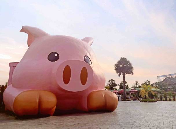 嘉義遊樂園 嘉義遊樂園