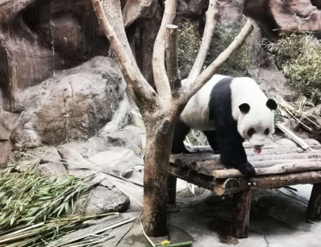 台北市動物園