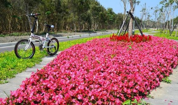 溪州公園森林區 溪州公園森林區