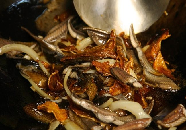 鱔魚