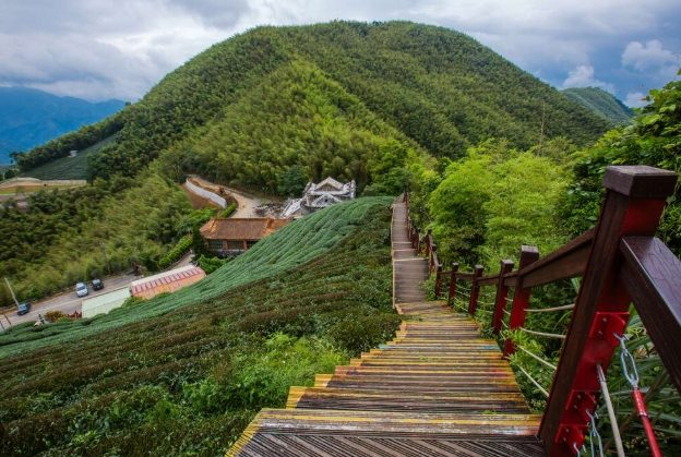 嘉義梅山景點 嘉義梅山景點