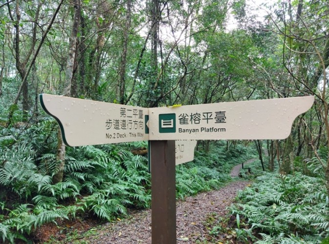 拳頭姆步道 拳頭姆步道