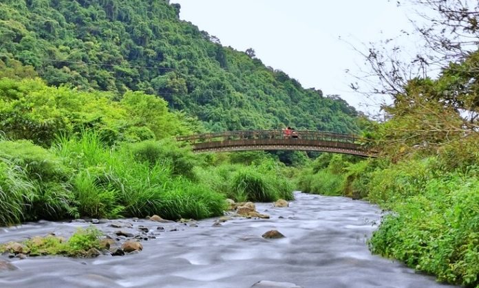 十二號橋溯溪步道 十二號橋溯溪步道