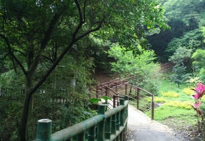 鶯歌孫龍步道 鶯歌孫龍步道