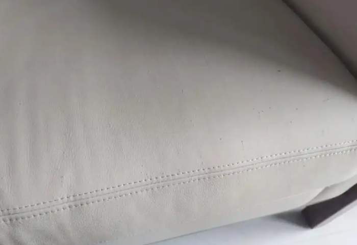 貓抓皮沙發清潔 貓抓皮沙發清潔