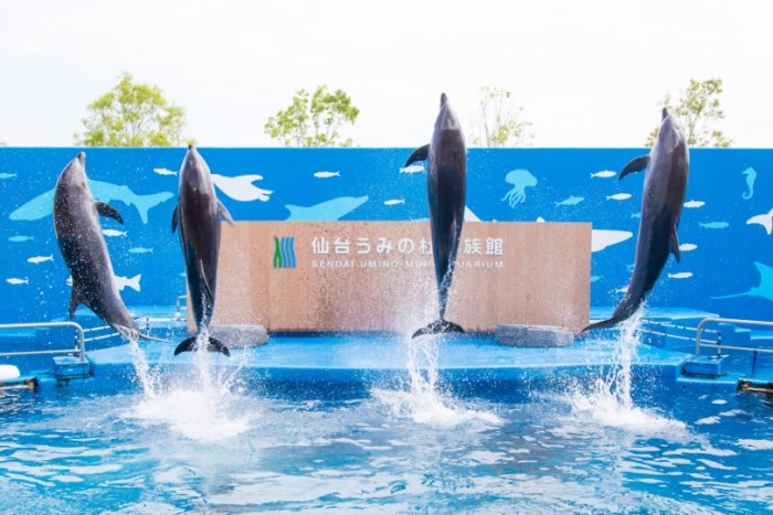 仙台海洋森林水族館 仙台海洋森林水族館