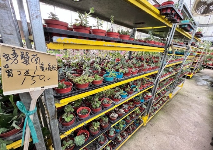 百木達景觀休閒花市 百木達景觀休閒花市
