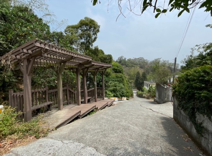 大坑桐花步道 大坑桐花步道