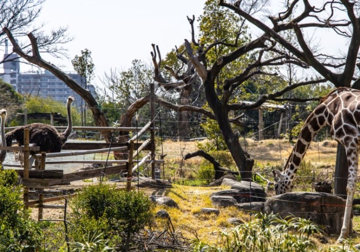 天王寺動物園 天王寺動物園