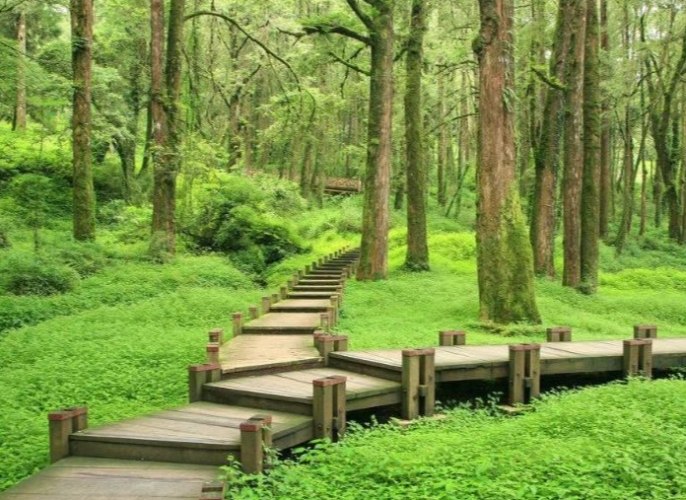 二崙自然步道 二崙自然步道