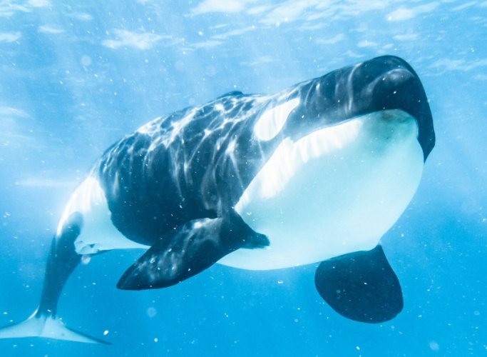 花蓮水族館