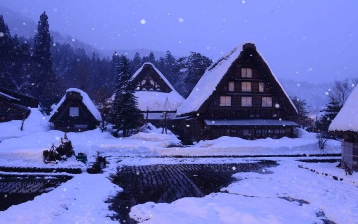 合掌村 合掌村