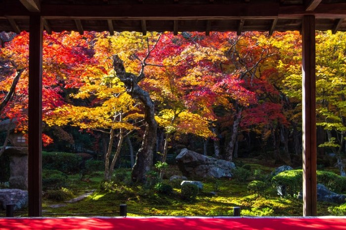 圓光寺