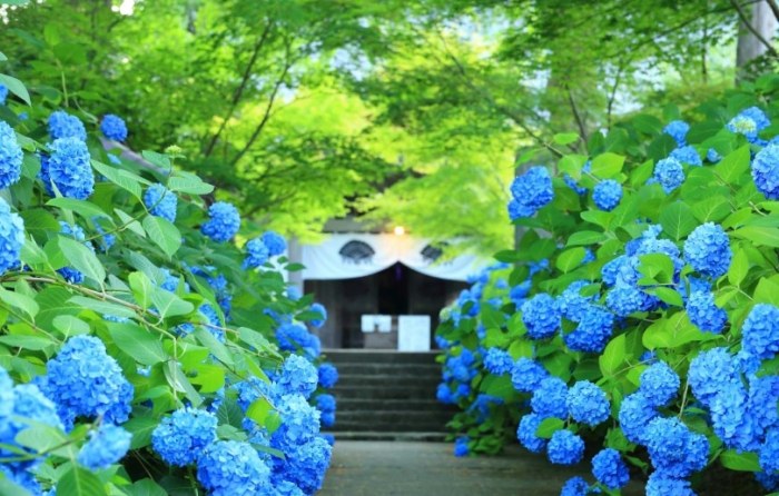 雲昌寺 雲昌寺