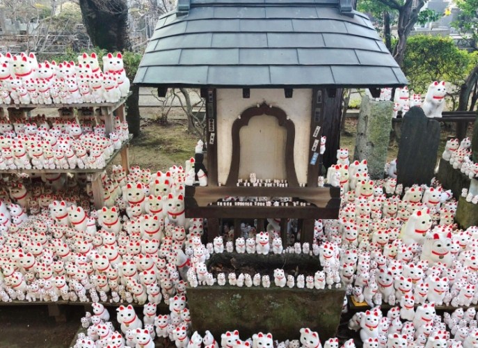 豪得寺 豪得寺