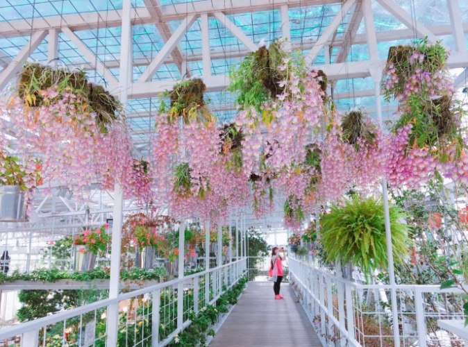 香草菲菲芳香植物博物館 香草菲菲芳香植物博物館