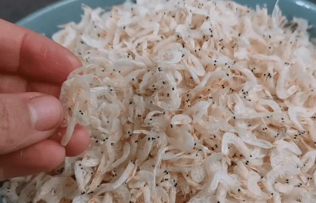 蝦皮營養 蝦皮營養