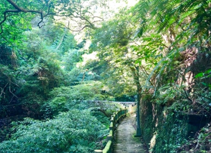 貴子坑親山步道 貴子坑親山步道