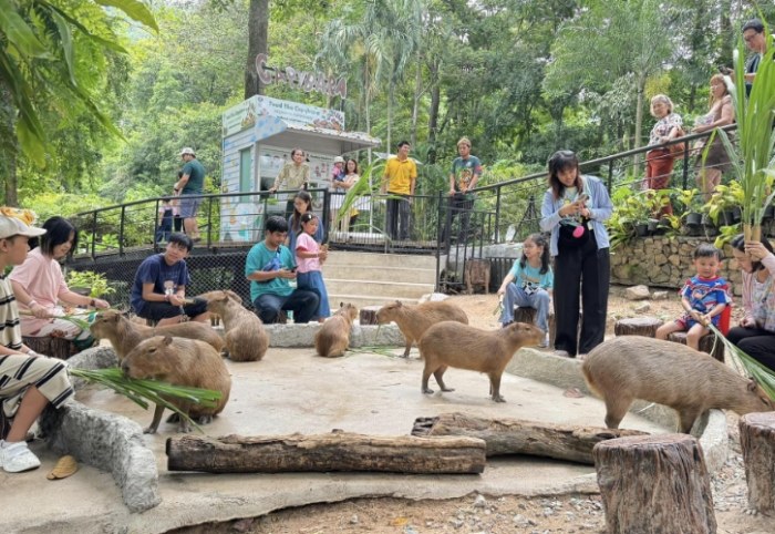 綠山動物園 綠山動物園
