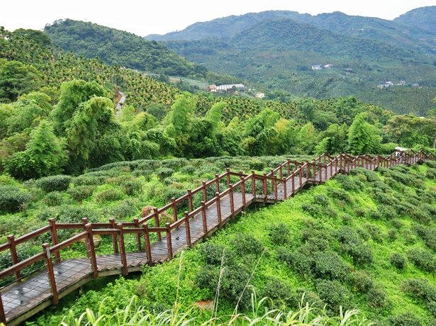 太興岩步道 太興岩步道