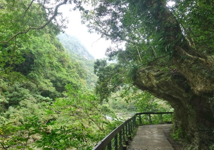 花蓮縣秀林鄉砂卡礑步道 花蓮縣秀林鄉砂卡礑步道