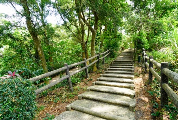 龍鳳谷森林步道 龍鳳谷森林步道