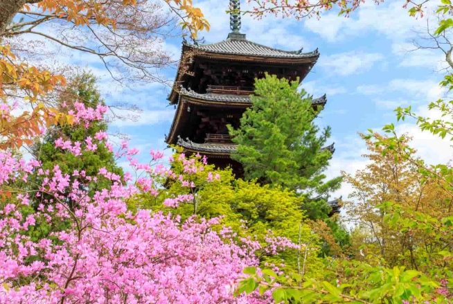 仁和寺 仁和寺