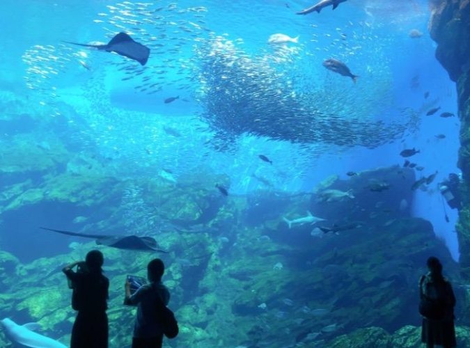 仙台水族館 仙台水族館
