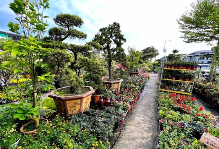 百木達景觀休閒花市 百木達景觀休閒花市