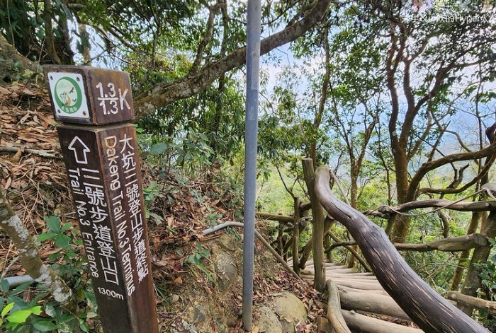 大坑三號登山步道 大坑三號登山步道