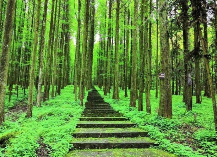 翠山步道 翠山步道