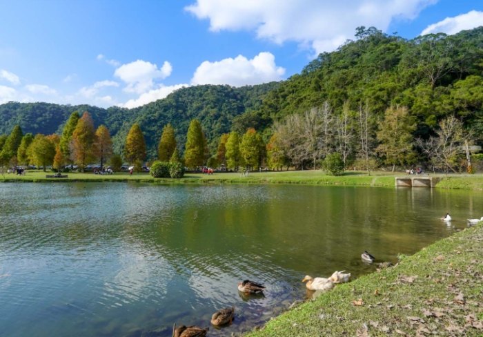 蜊埤湖 蜊埤湖