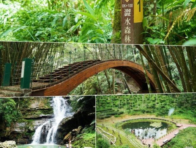 澀水森林步道 澀水森林步道