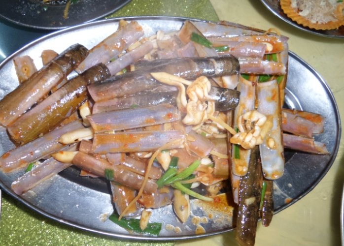 青雞魚 青雞魚