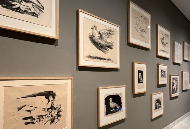 畢卡索美術館 畢卡索美術館