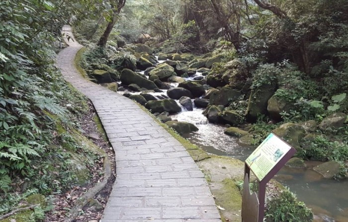 大溝溪溪畔步道 大溝溪溪畔步道