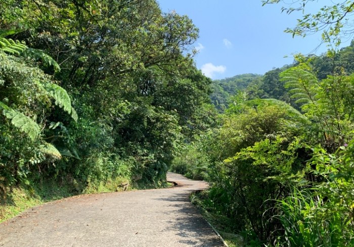 姜子寮絕壁步道 姜子寮絕壁步道